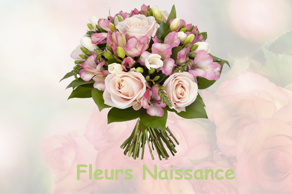 fleurs naissance BEZINS-GARRAUX