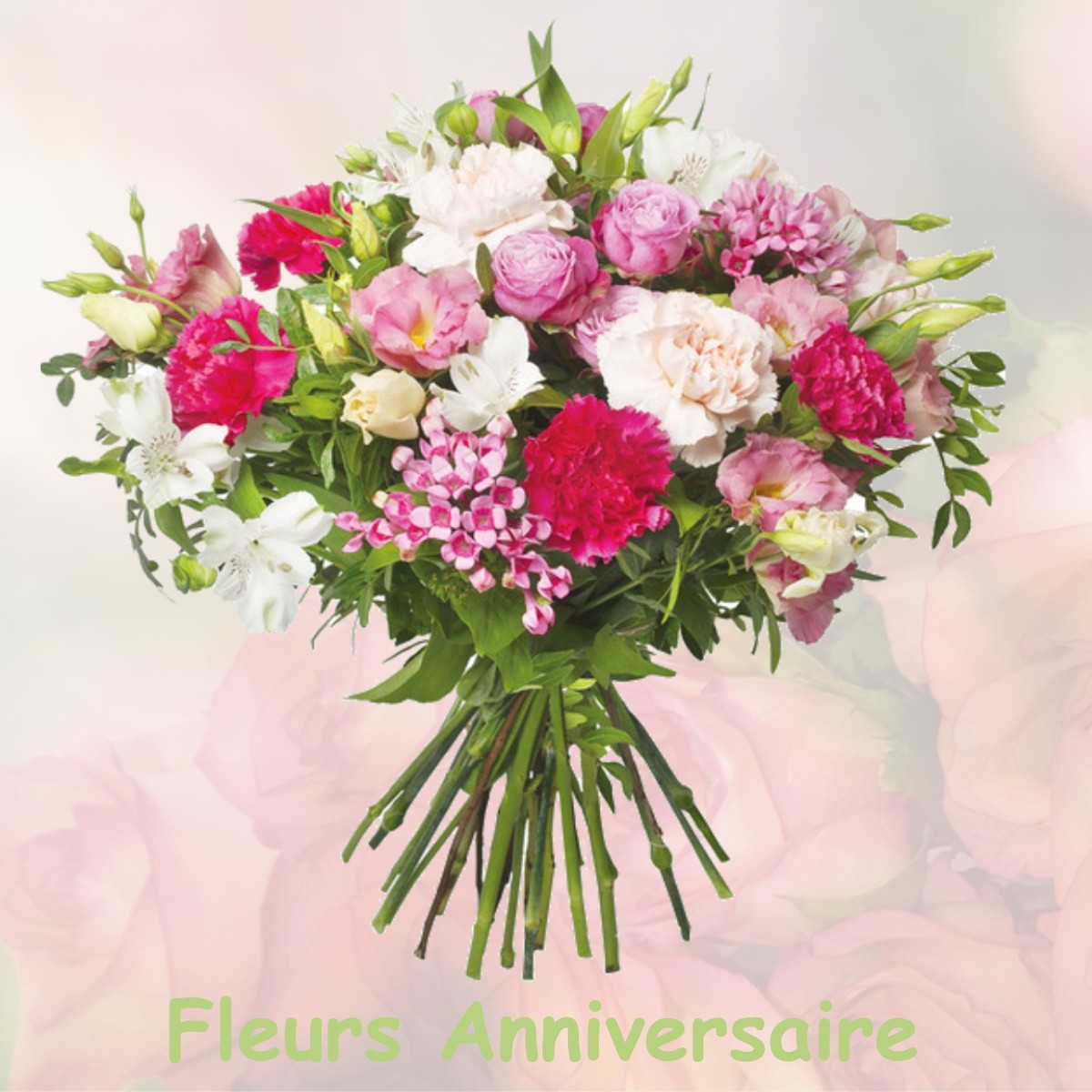 fleurs anniversaire BEZINS-GARRAUX