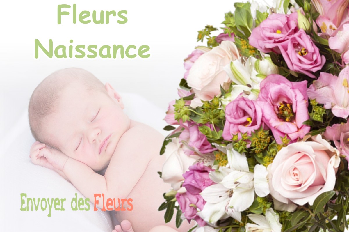 lIVRAISON FLEURS NAISSANCE à BEZINS-GARRAUX